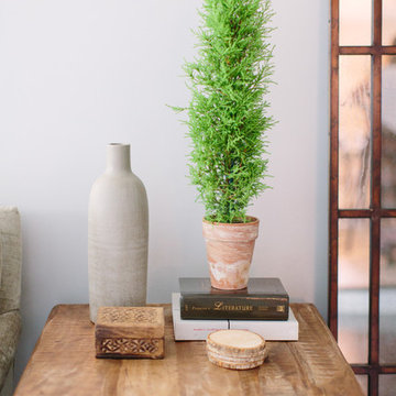 Willow Residence: Classic Cape Cod