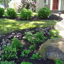 Front yard