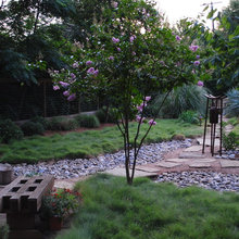 Anita St. Project
