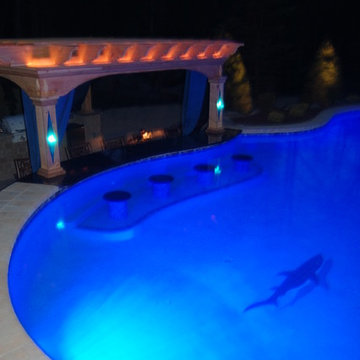 shark tile gunite pool