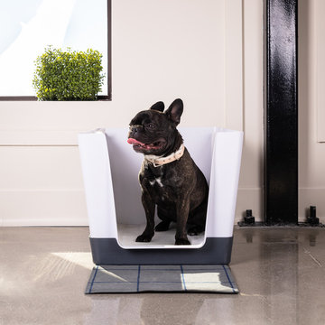 Dog Space