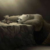 Scott Edenfield's photo