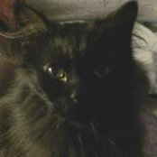 Michelle Mauler's photo