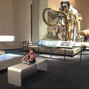 Dora Lawrence's photo