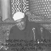 Nora Gamal's photo