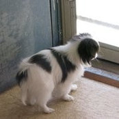 Jason Beachy's photo