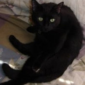LaVerne Arnot's photo