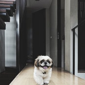Foto von Diann Xu