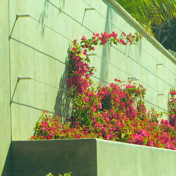 Island Style Tropical