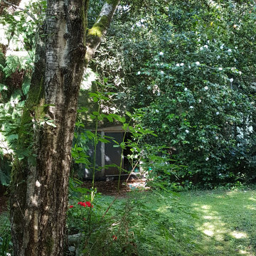 jardin des roses depuis le bosquet du camelia