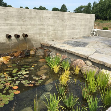 Pond in the Fields