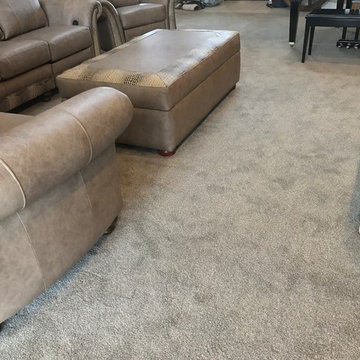 Stainmaster carpet style Hansel color Moondust