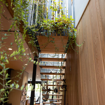 Dally Terrace