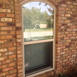 Eyebrow Windows - Windows