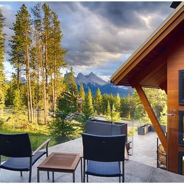 Silvertip