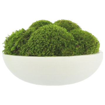 Natural Moss In White Bowl