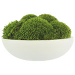 Creative Displays - Natural Moss In White Bowl - Our contemporary Natural Moss arrangement is made of moss cultivated by American Farmers, then planted in a white Fiberstone bowl.