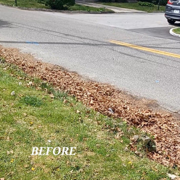 Cleanup and Mulching