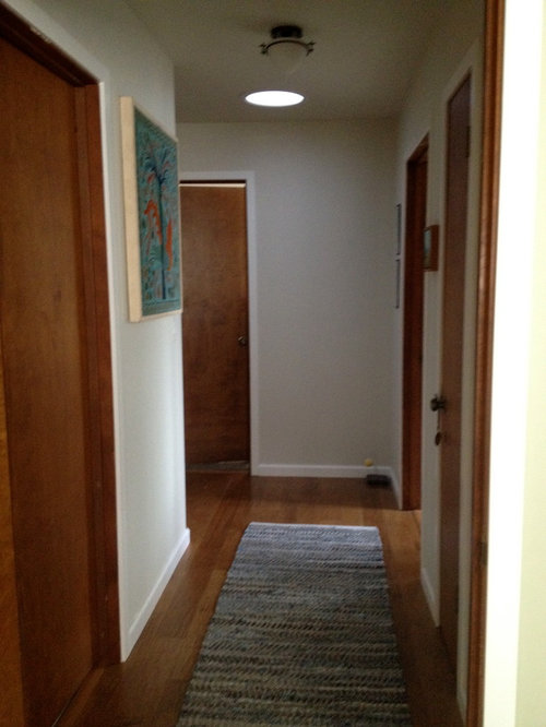 Interior Doors Paint White Or Replace With White Panel Door