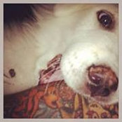 Matt Key's photo