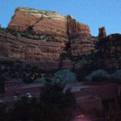 Carey Sealy's photo