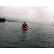 Danny Hoang's photo