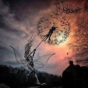 Judi Hammond's photo
