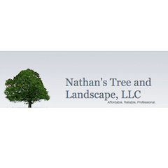 Nathan's Tree & Landscape