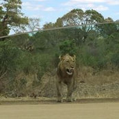 Renee Frenette's photo