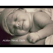 Pavel Cech's photo