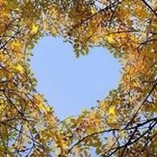 Carol Darnell's photo