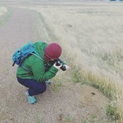 Foto von Sarah Ausburn