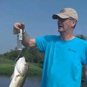 Bud Whaley's photo