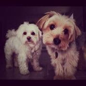 Larissa Choi's photo