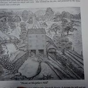 Carol Ditto's photo