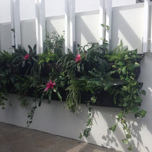 vertical garden
