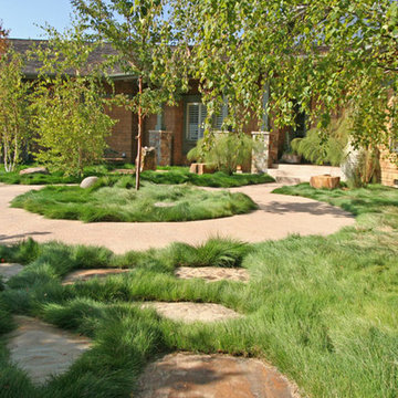 A no-mow lawn in Portola Valley