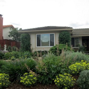 Lily's Rustic California Native Garden