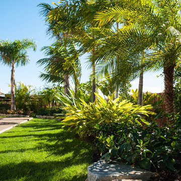 Jardín tropical en Villa de lujo