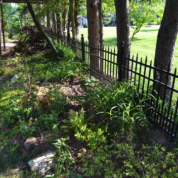 DIY Landscape - Woodland or Shade Gardening