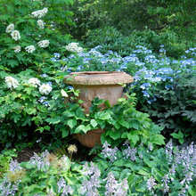 jardin