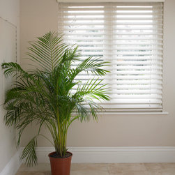 Blinds from the Shutter Shop - Products