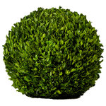 Serene Spaces Living - Preserved Boxwood Ball, 12" Boxwood Ball - Our boxwood ball is crafted using genuine preserved boxwood. This is not a plastic / silk ball, it is made of real glossy dark green colored leaves and hence expect natural variations in color and texture. Great to hang greenery as decoration in a kitchen, above a fireplace mantle or even place on a centerpiece urn on a table at home. It features one flat side so that you can display it anywhere and it will stay in place. This is a decorative element that adds a unique style no matter where you display it. If you're planning a grand Christmas event, add a bold red ribbon to our preserved boxwood balls and hang them around your holiday-inspired venue. Preserved boxwood infuses any event or wedding with a lush, natural touch. Attach a wire loop and display this glossy greenery at your elegant wedding reception. Instantly adds a festive feel to any space. CARE INSTRUCTIONS- Spray them once a month to keep them looking fresh, and keep away from direct sun exposure. This is for indoor use only. Sold individually, measures 12" Diameter. Serene Spaces Living encourages easy DIY decorating and we hope these boxwood balls will be a great addition to your decor!