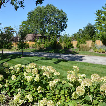 Front Yard Planting With Full and Refined Plantings