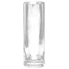 Glass Vase, Clear Glass Achromatic