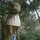 Anne Pinckard