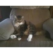 Lorie McGuire's photo