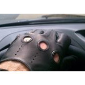 Steve Sammut's photo