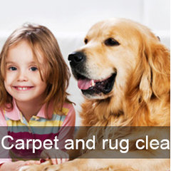 EzyDry Carpet Cleaning
