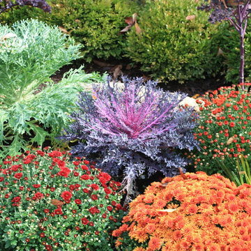 Whimsical Landscape Design